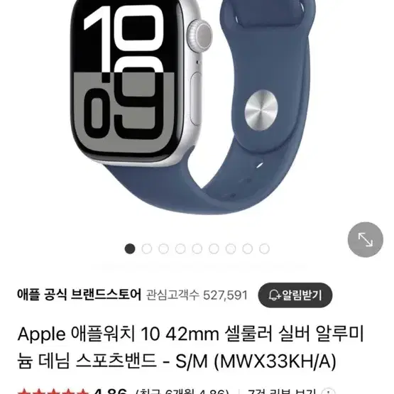 애플워치 10 42mm 셀룰러 실버