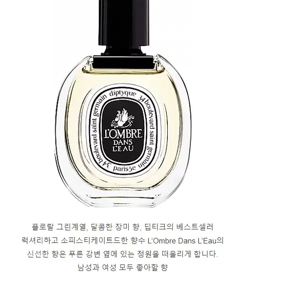 딥디크 롬브르단로 100ml 새상품 향수 50ml 아님