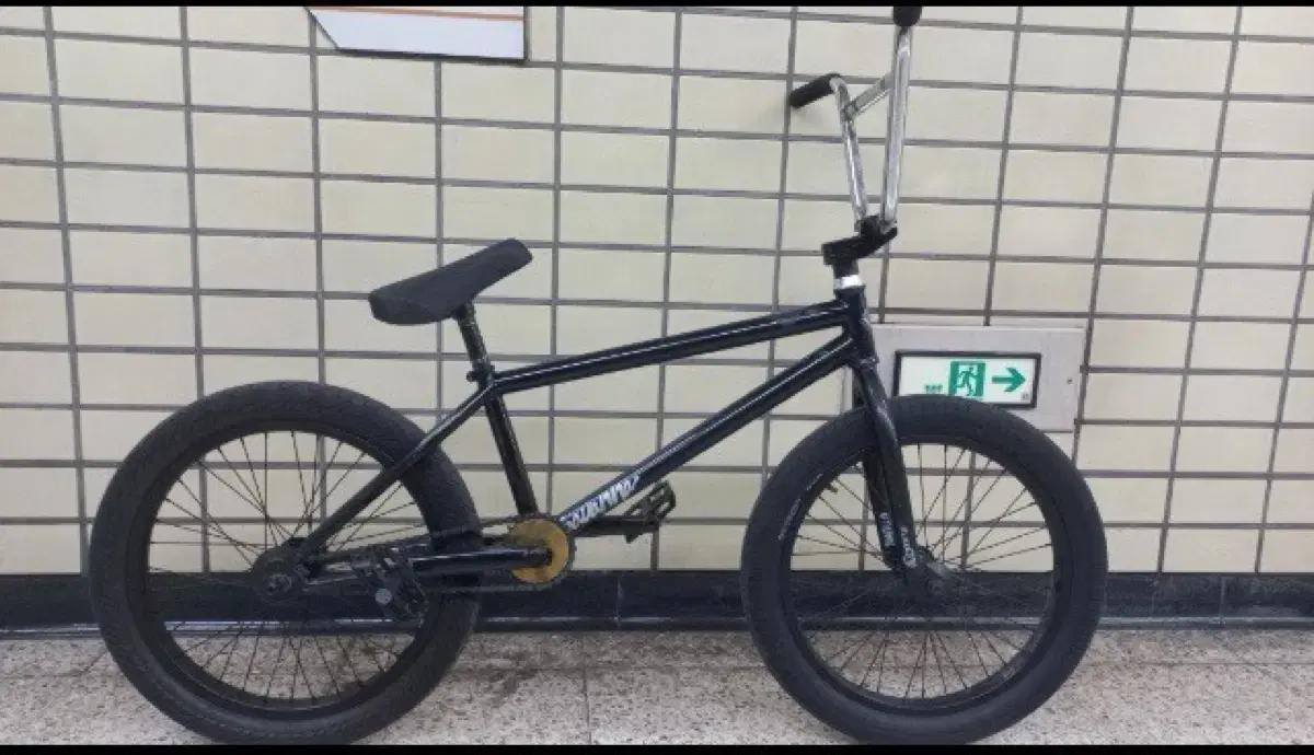 플라이 사바나 커스텀 BMX 판매 / 대차