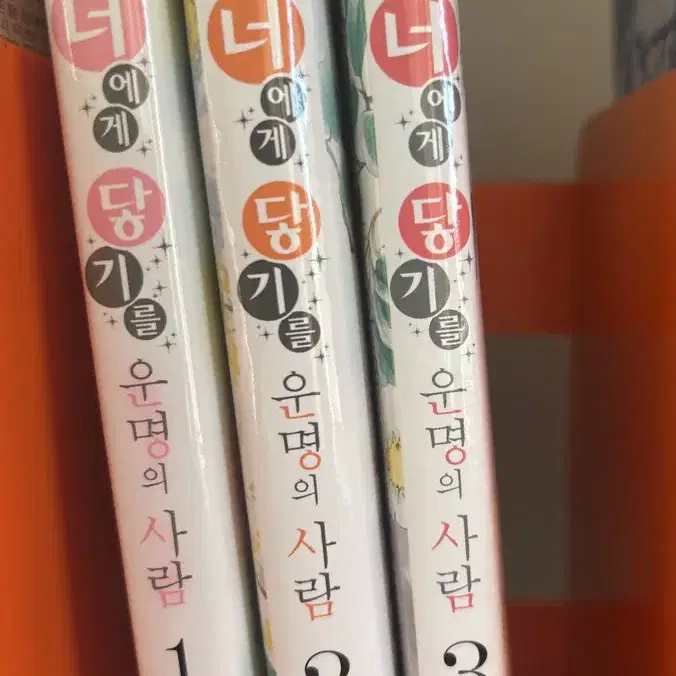 너에게 닿기를 번외편 1,2,3권