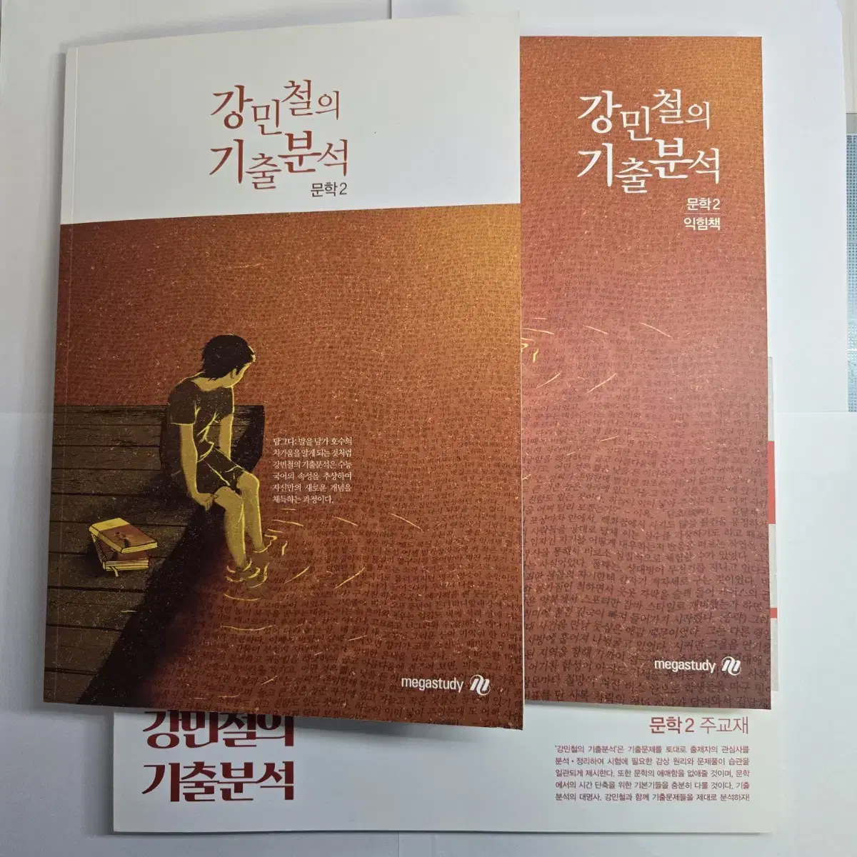 다합쳐서 5000원 / 강기분 / 강민철의 기출분석 / 문학