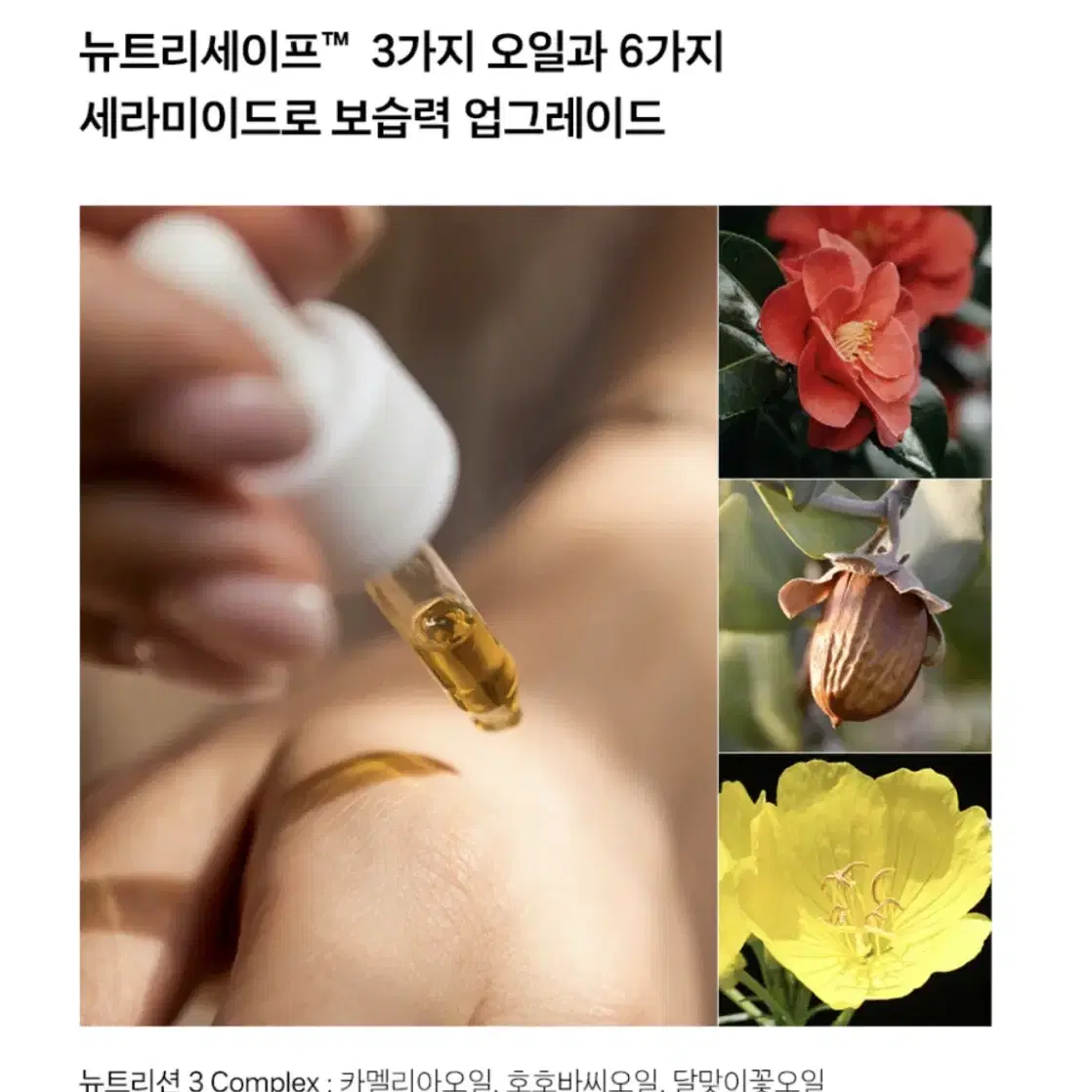 르버브 애프터눈 캄 핸드크림