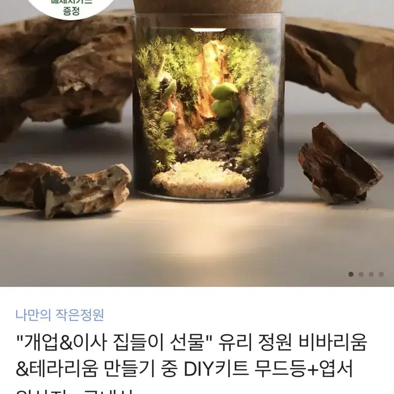 (새상품)비바리움 무드등 유리정원 DIY 세트