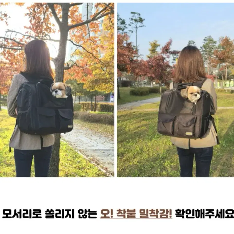 모드니펫 강아지 가방 메탈블랙 새상품 판매