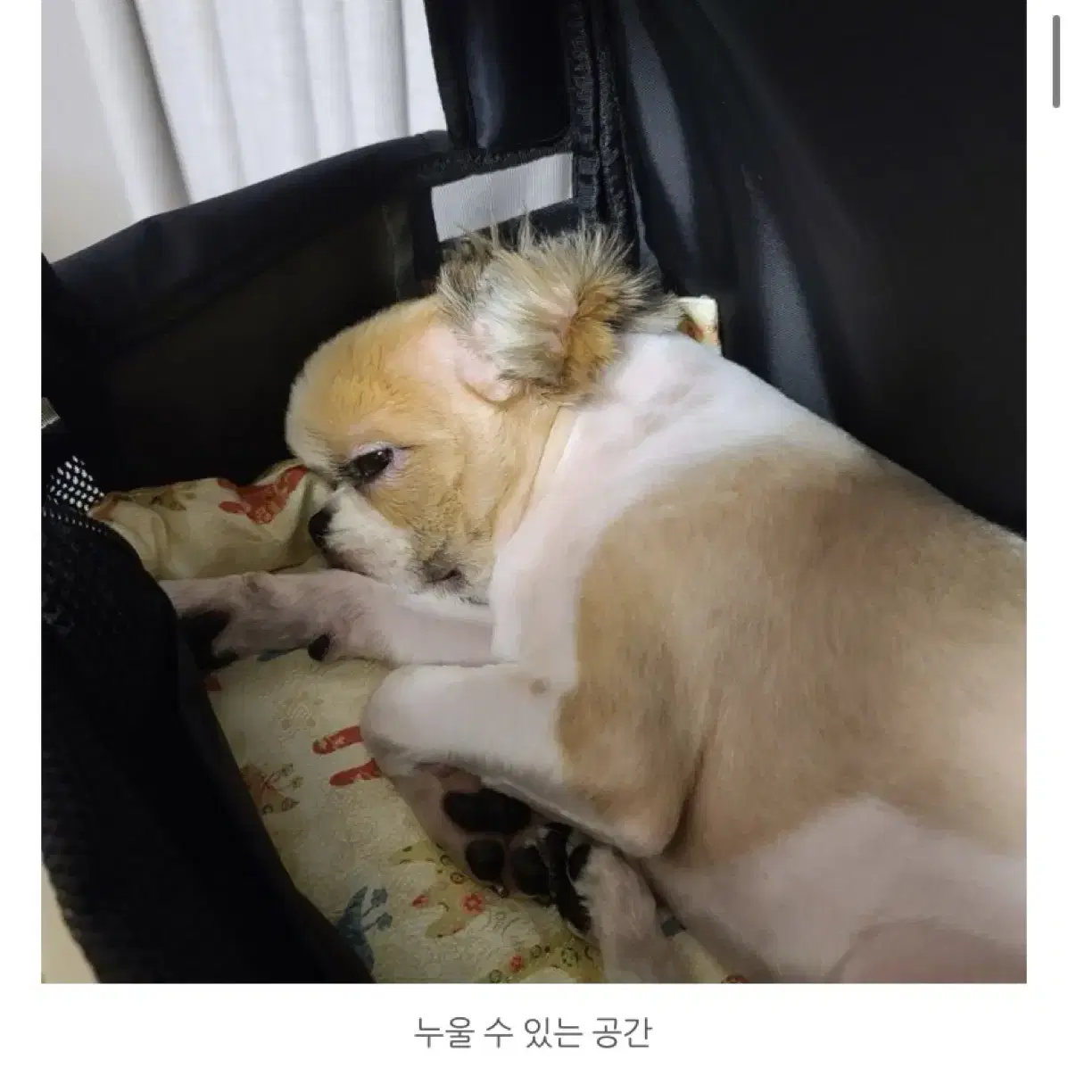 모드니펫 강아지 가방 메탈블랙 새상품 판매