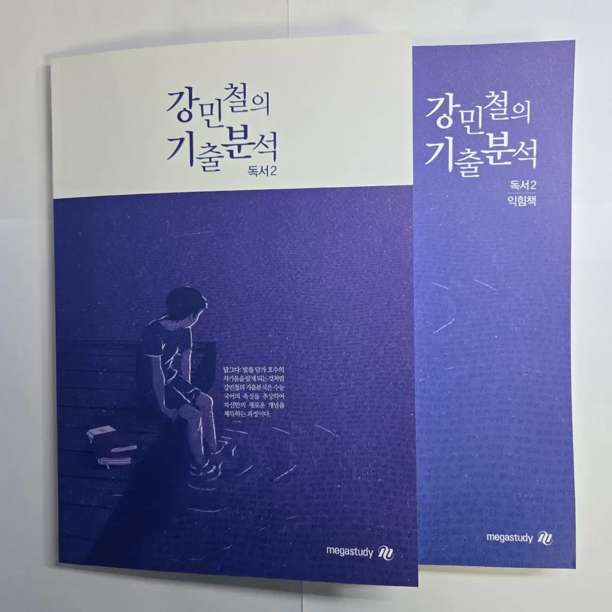 다합쳐서 4000원 / 강기분 / 강민철의 기출분석 / 독서