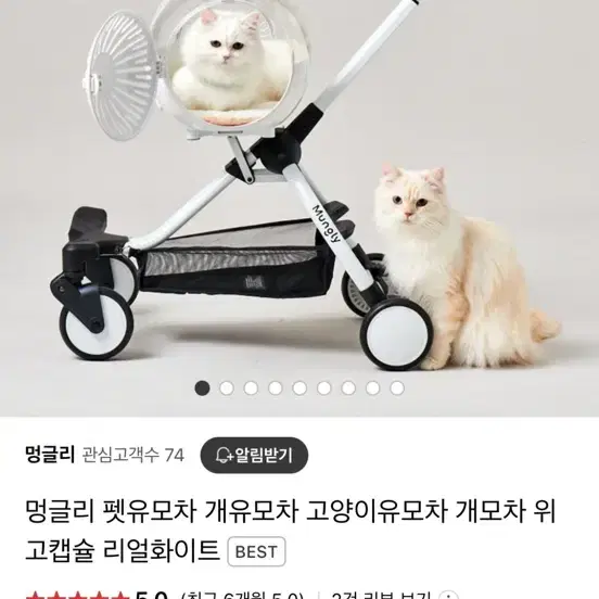 멍글리 고양이 유모차