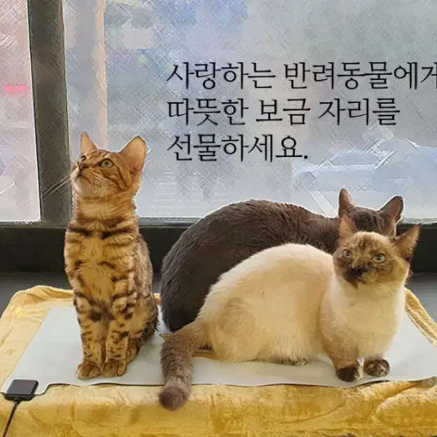 탄소전기 펫&베이비