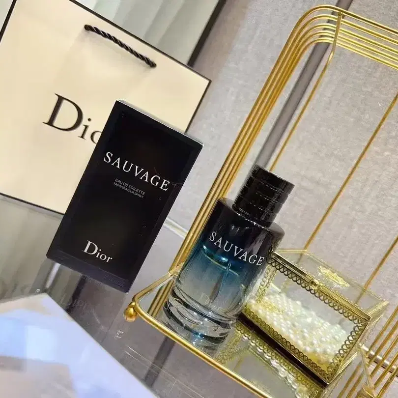 DIOR 디올 옴므 오드뚜왈렛 100ML