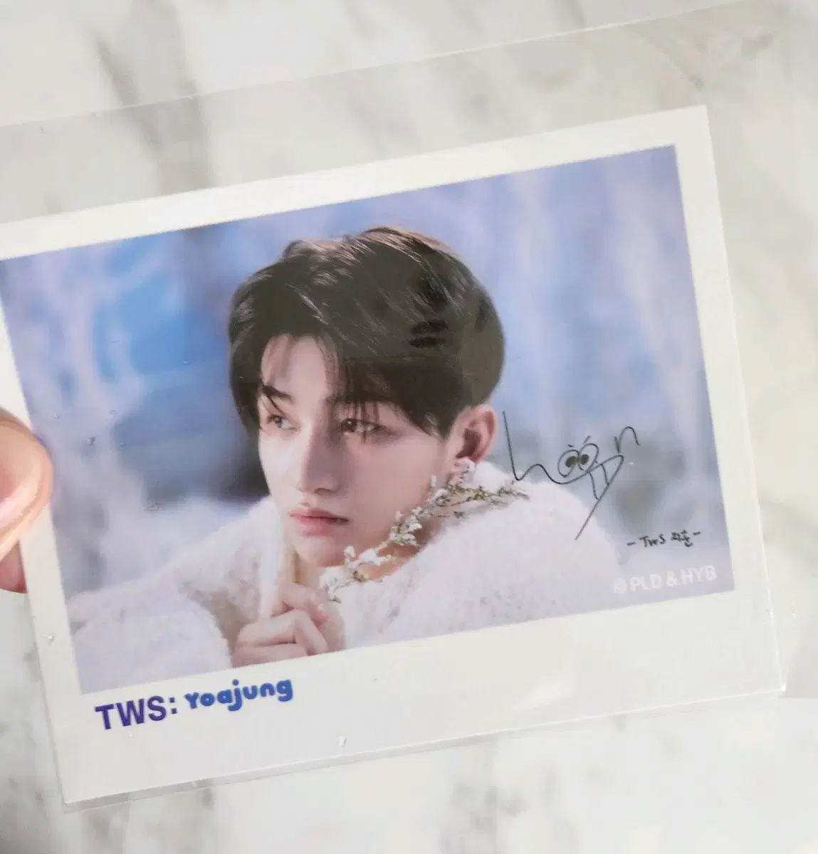 TWS jihoon Yoazheng photocard Photocard