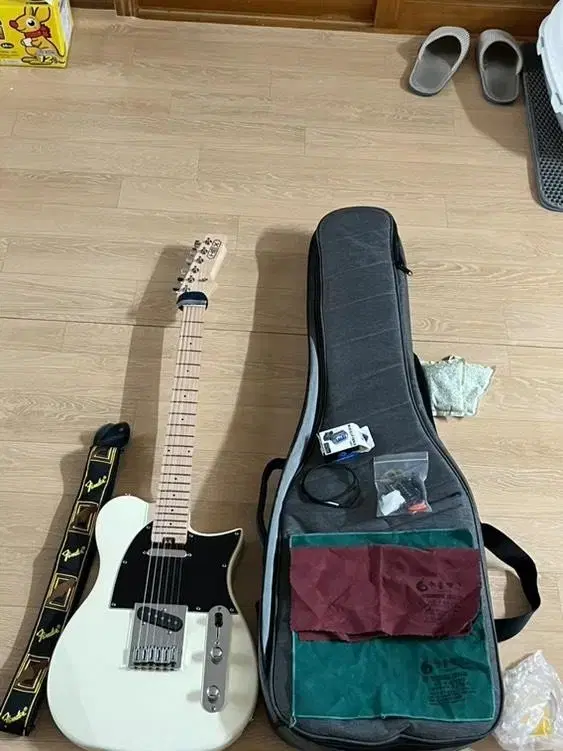 헥스 T100 TELECASTER 입문용 텔레 일렉기타