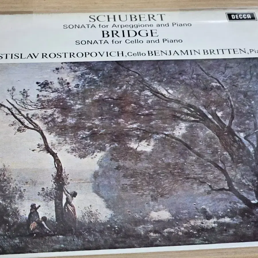 Schubert / Bridge : Chamber Music Rostro