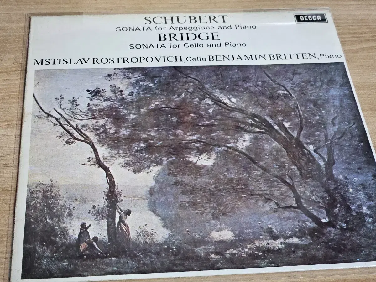 Schubert / Bridge : Chamber Music Rostro