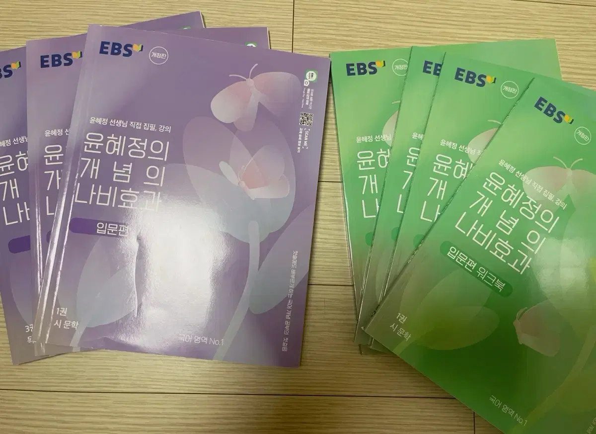 EBS 윤혜정의 개념의 나비효과 입문편과 워크북