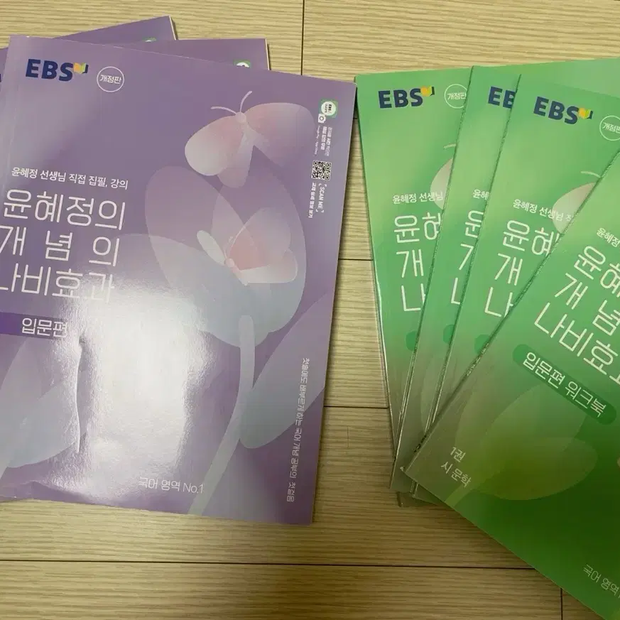 EBS 윤혜정의 개념의 나비효과 입문편과 워크북