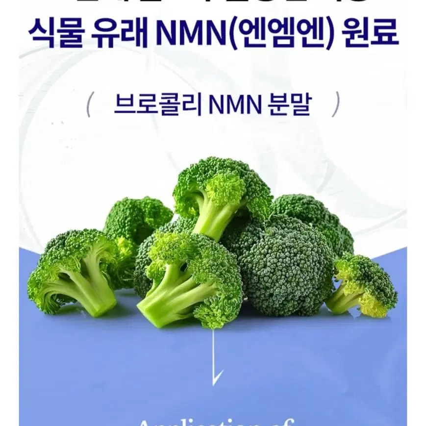 nmn필름