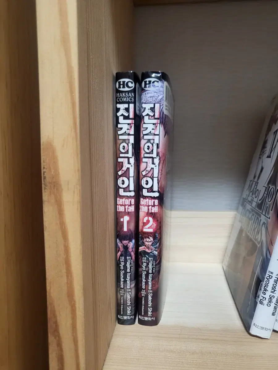 Before the fall of the jin, volumes 1-2