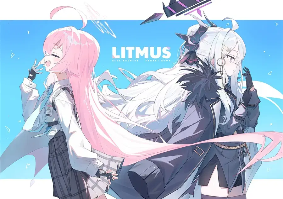 기간예약) c105 블루 아카이브 히나 & 호시노 일러집 "LITMUS"