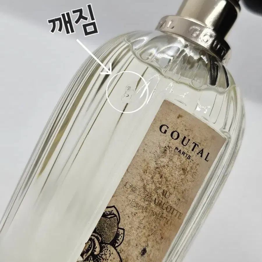 아닉구딸 오드 샤를로트(샬럿) 100ml EDT 향수