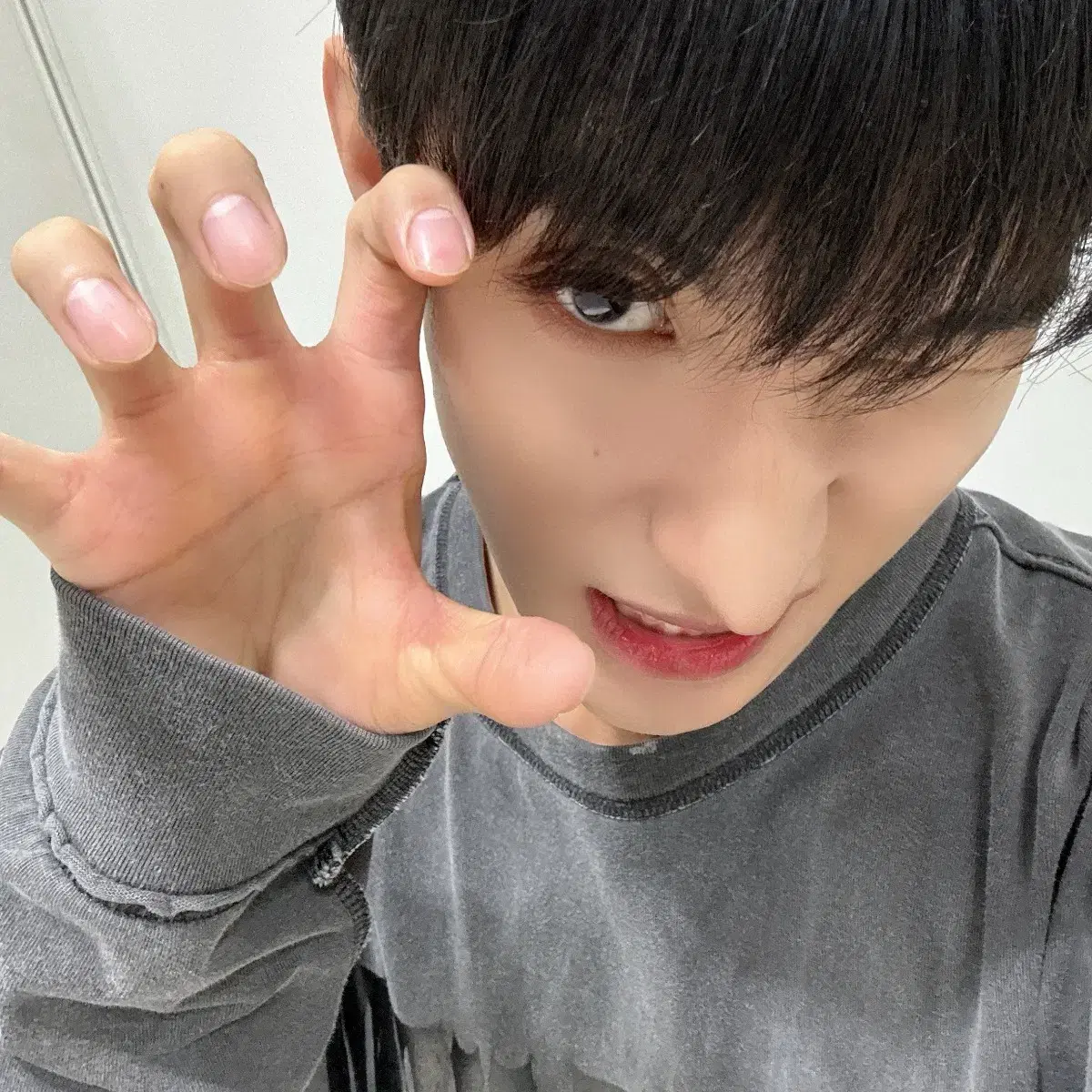 세븐틴 홈 트레카 교환!!!!!!(원우구해요!!!!)