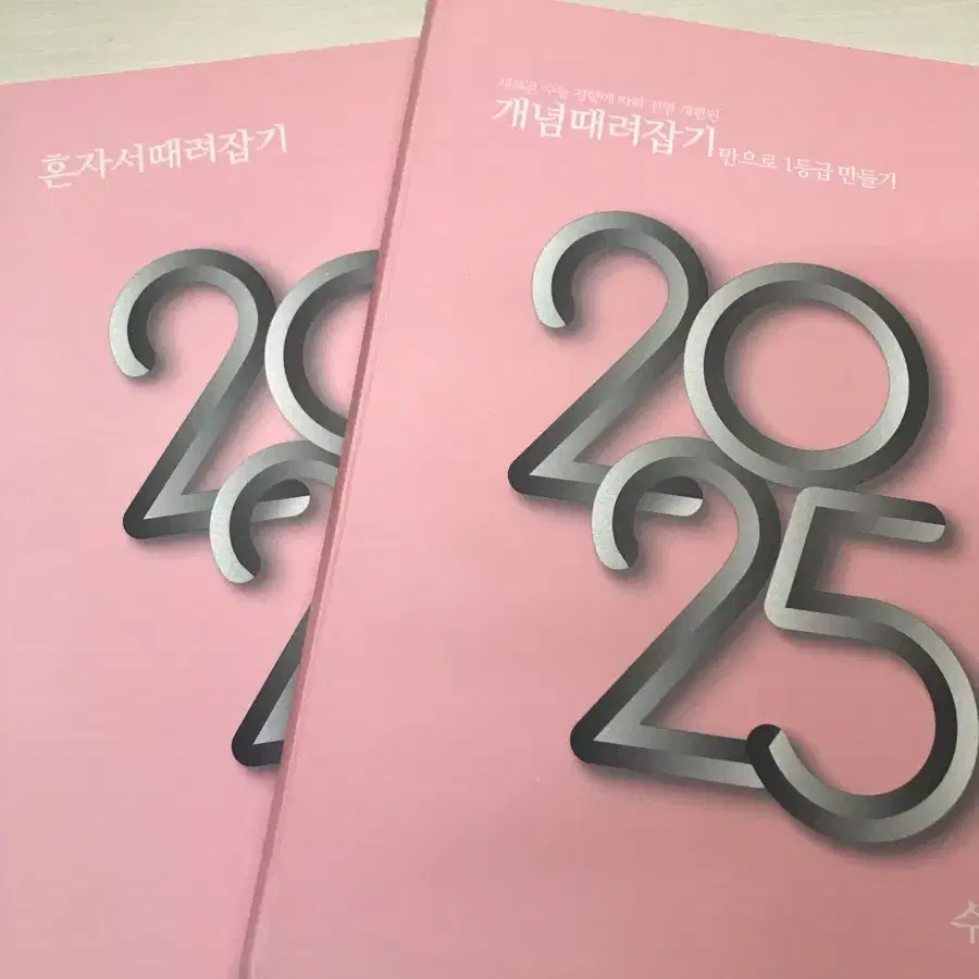 2025 개때잡 수1