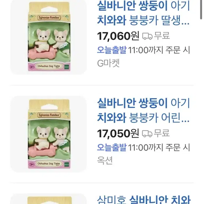 실바니안 쌍둥이 치와와