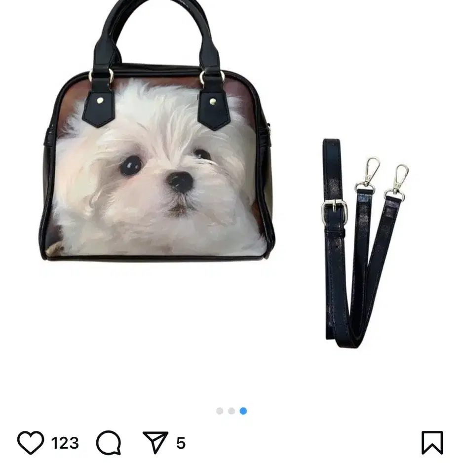 허자보이에이씨씨 Puppy leather bag