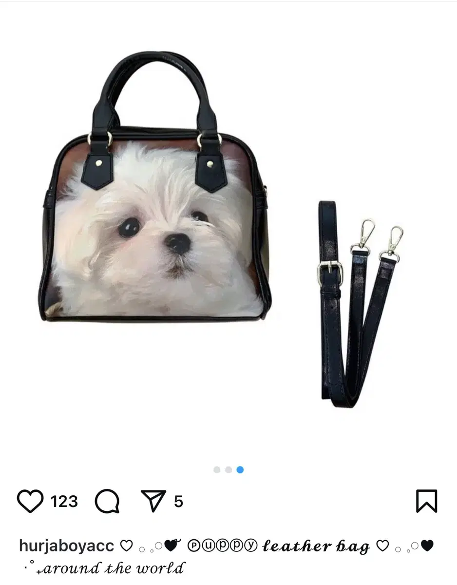 허자보이에이씨씨 Puppy leather bag