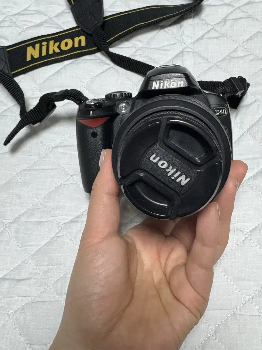 니콘 d40 nikon