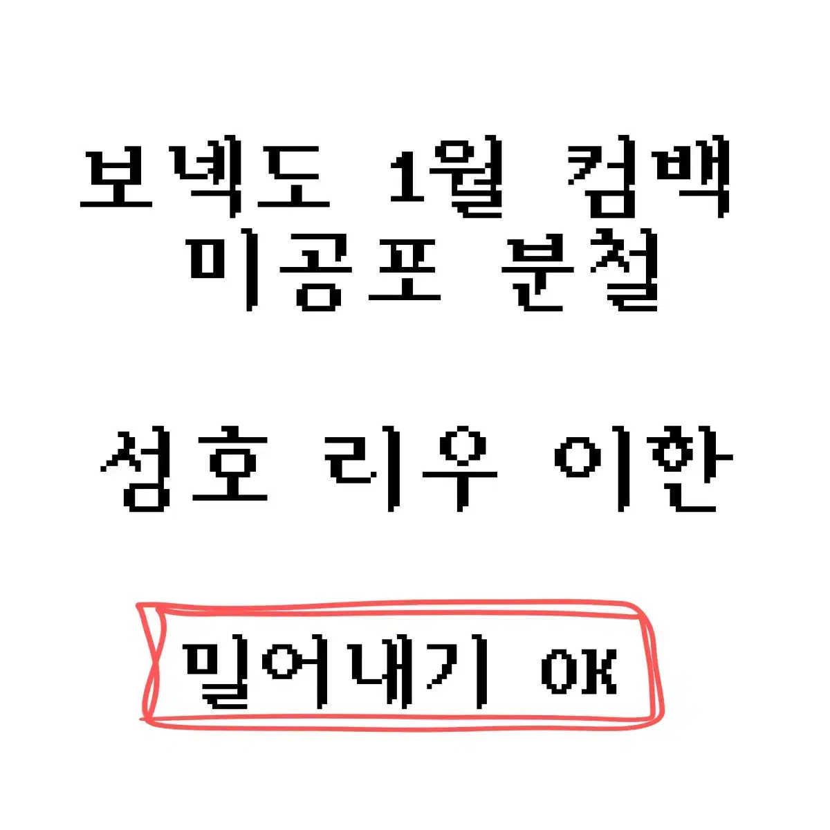 보이넥스트도어 보넥도 1월 컴백 미공포 분철 성호리우재현태산이한운학