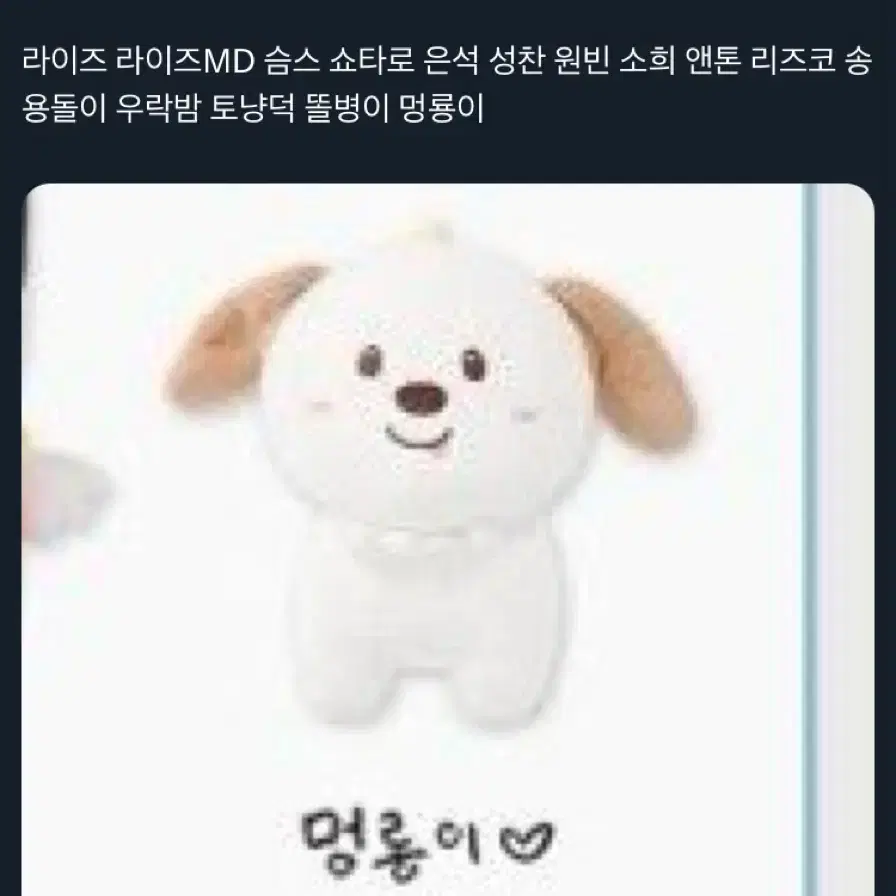 라이즈 40cm 인형 멍룡이