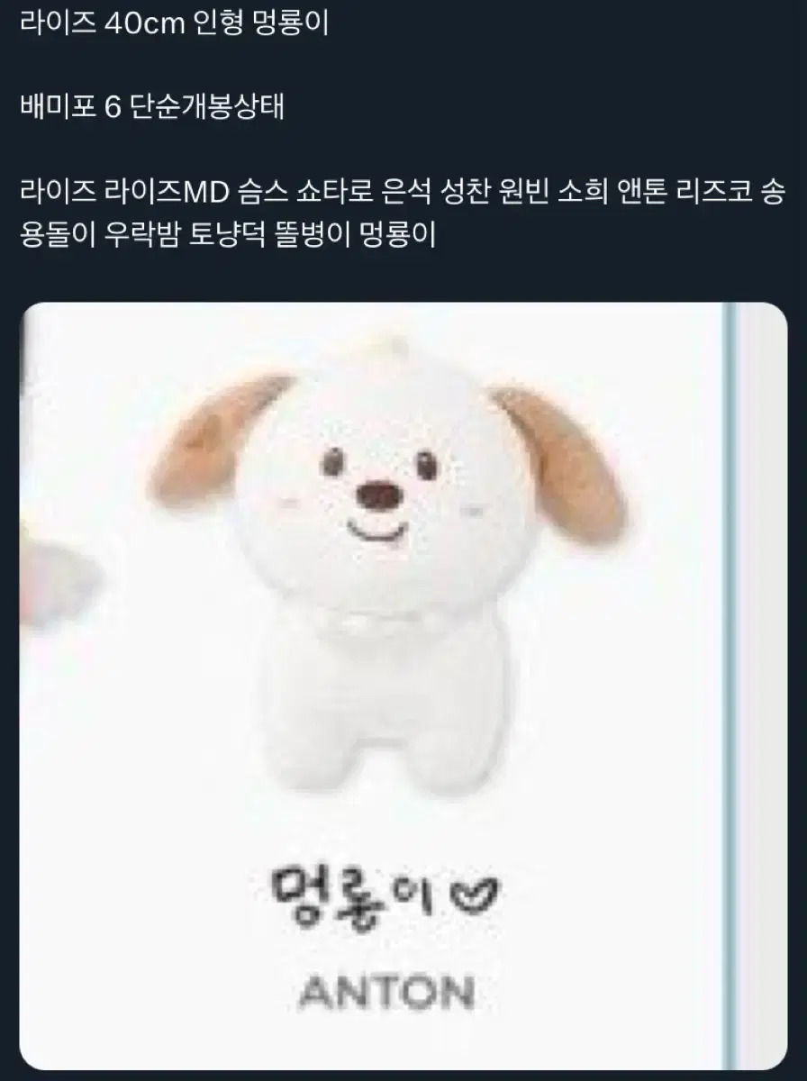 라이즈 40cm 인형 멍룡이