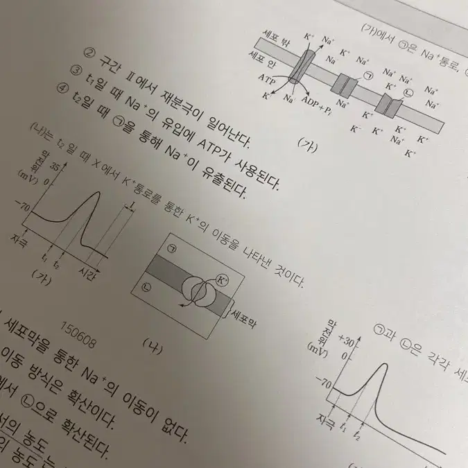 (25수능) 시대인재 생명과학1 플로우 3권 (전도, 돌연변이)