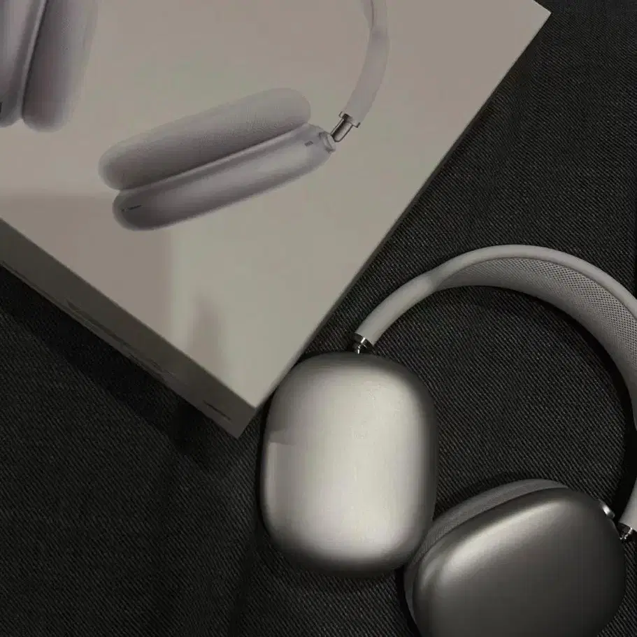 Apple AirPods Max 머리에 쓰는 무선 이어폰 실버