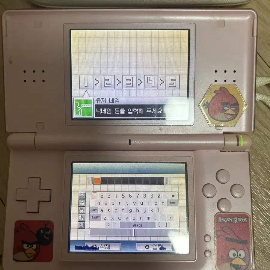 닌텐도 DS lite