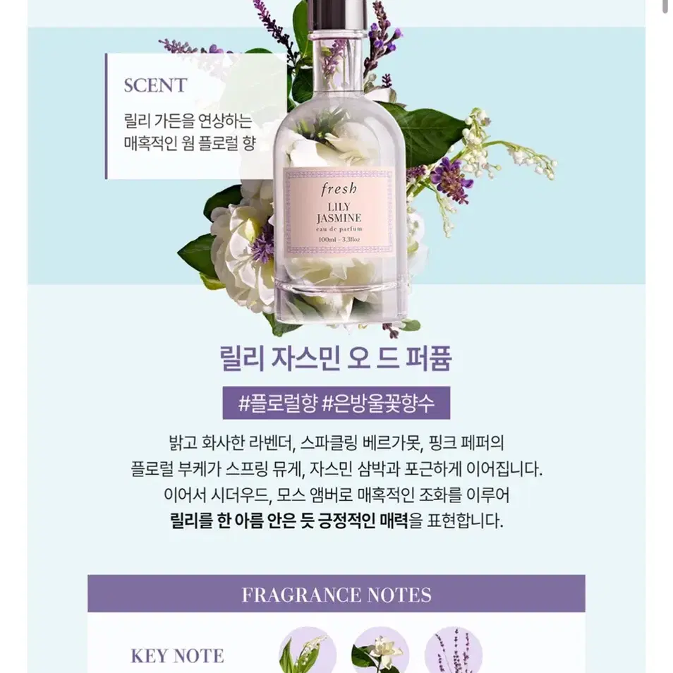 프레쉬 릴리 자스민 오드퍼퓸100ml 미개봉 새상품 국문