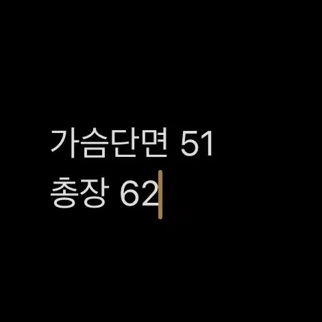 [ 정품/90(L) ] 노스페이스 700 패딩