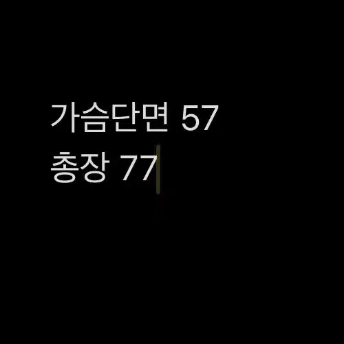 [ 정품/95 ] 아디다스 챔피언스리그 바람막이 점퍼