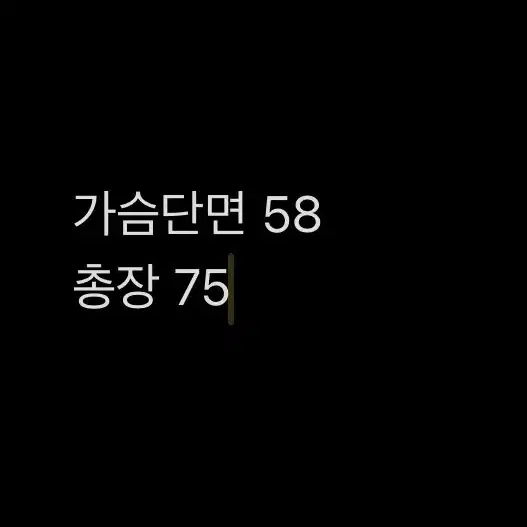 [ 정품/95 ] 노스페이스 바람막이