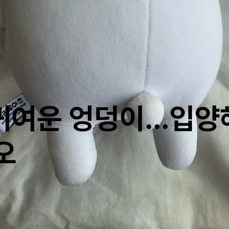 라멘 먹는 농담곰