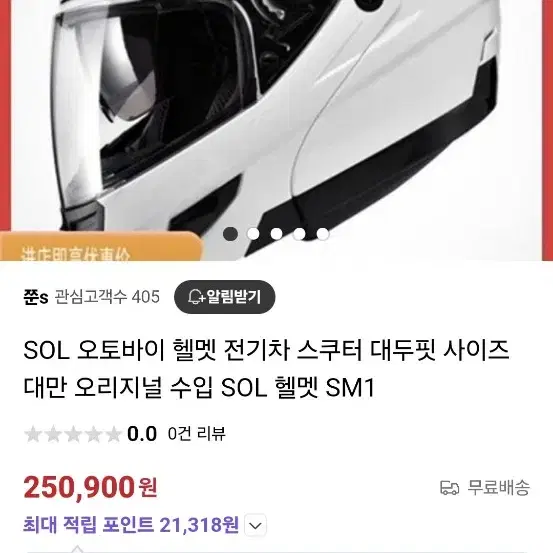 sol 풀페이스 헬멧 팜