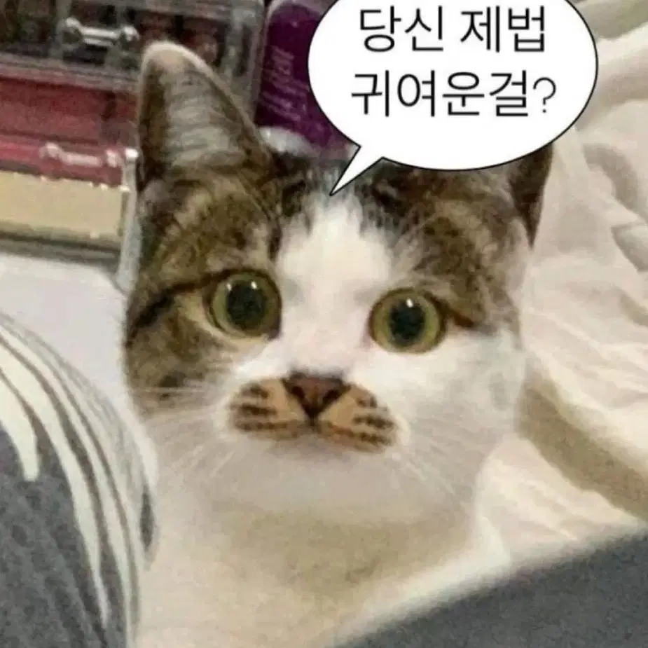 모든 양지뢰 의상 판매합니다