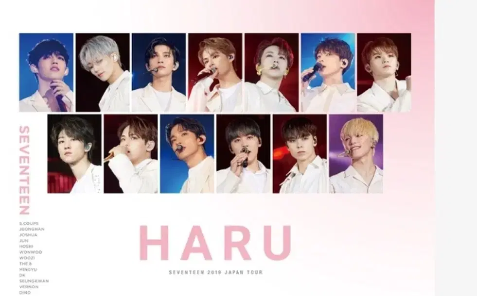 SEVENTEEN Japanese DVD HARU WTS