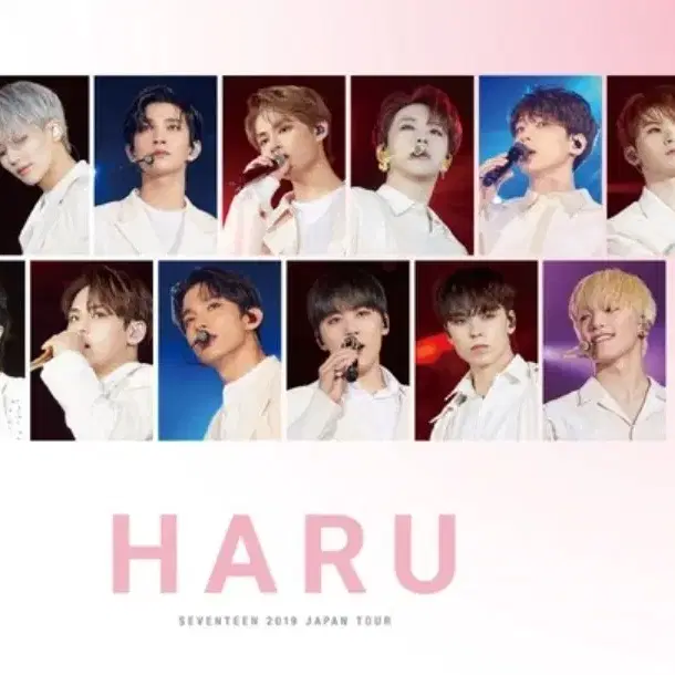 세븐틴 일본 dvd haru 양도