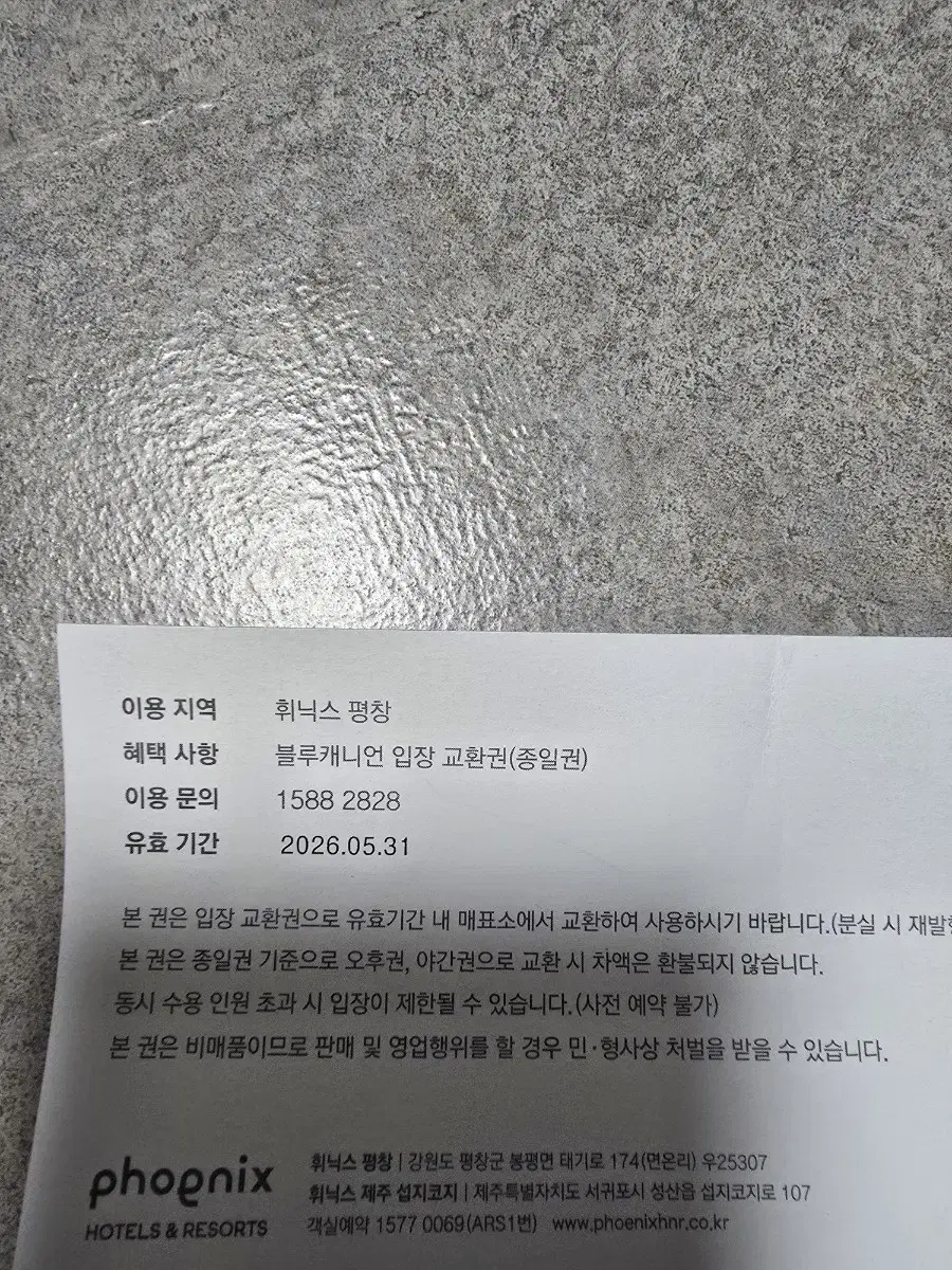 휘닉스파크 블루캐니언 종일권 2매