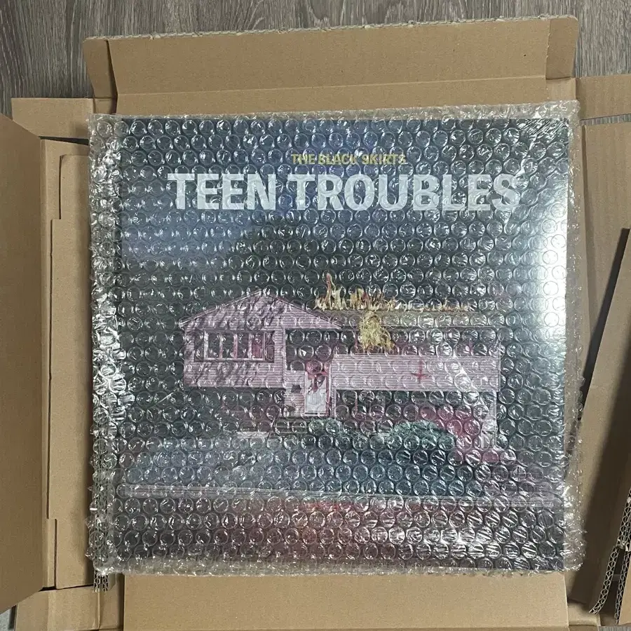 검정치마 Teen Troubles LP