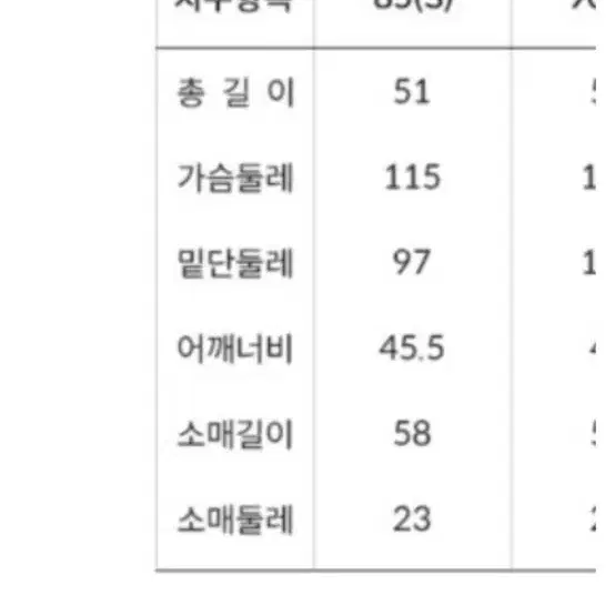 노스페이스 글로시 다운 자켓 브라운컬러