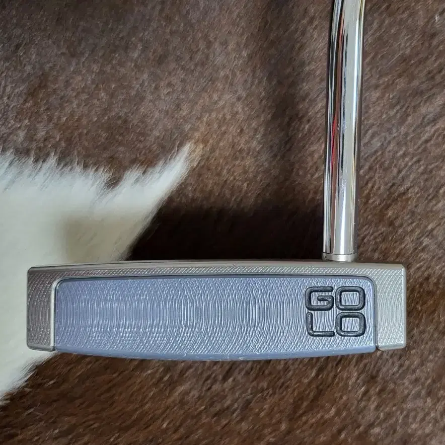 스카티카메론 Scotty Cameron 고로 GOLO5R 퍼터