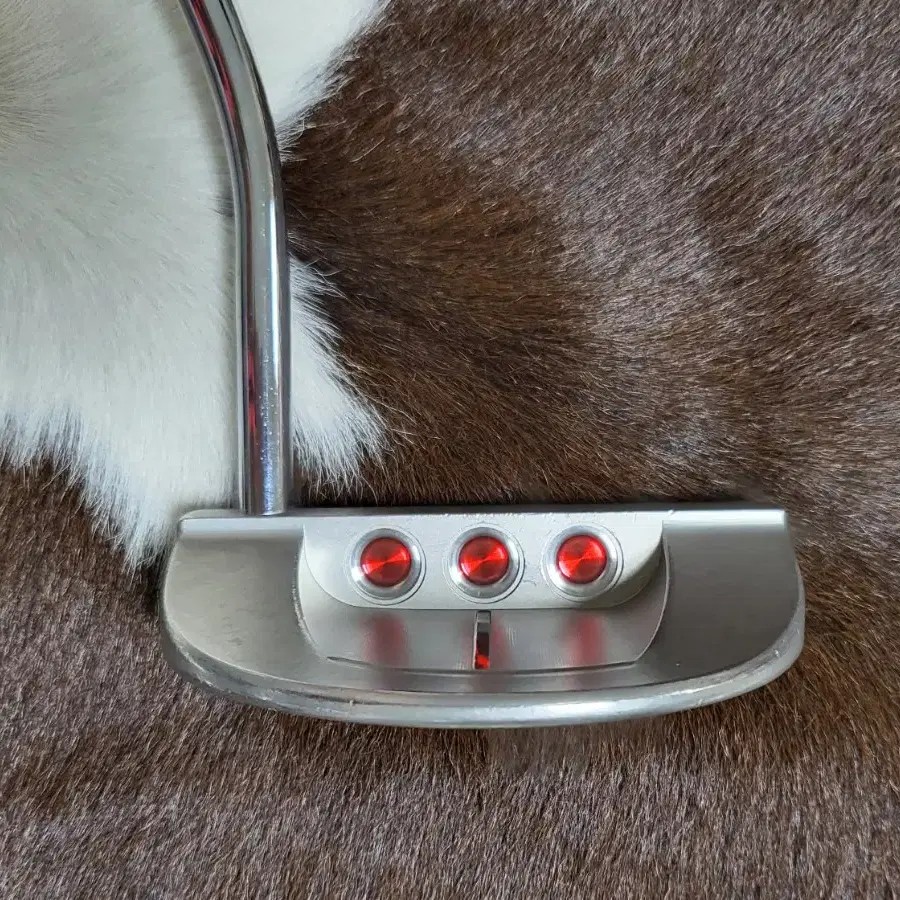 스카티카메론 Scotty Cameron 고로 GOLO7 퍼터