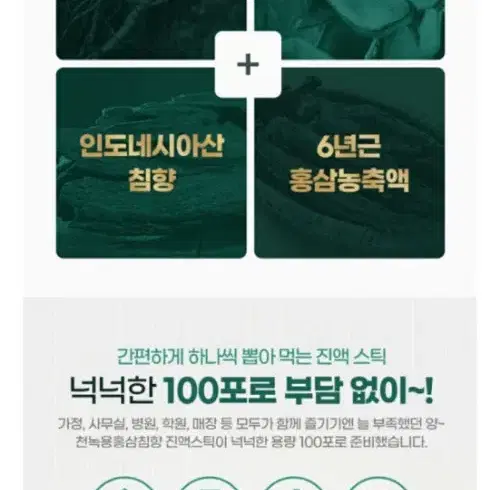 동의삼 천녹용홍삼침향 진액스틱 100포